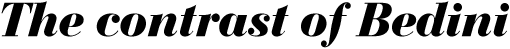 Italic text with heavy contrast (Bedini font)