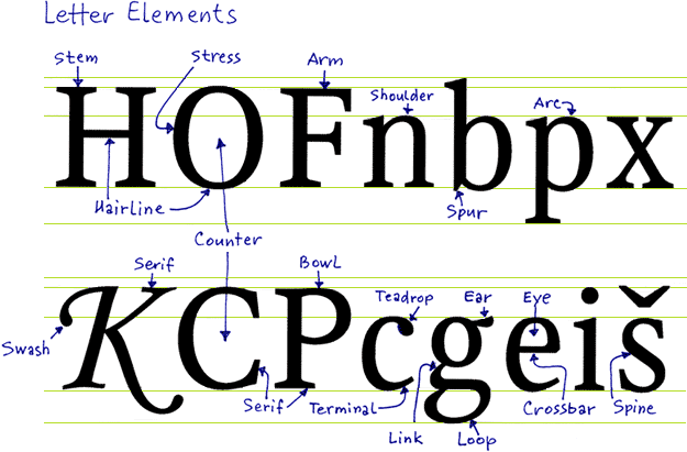 Letter anatomy with stems, arms, counters, arcs, bowls etc.