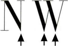 Vertices on the letters N and W