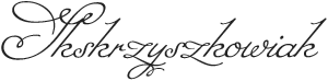 Script font with swash letters