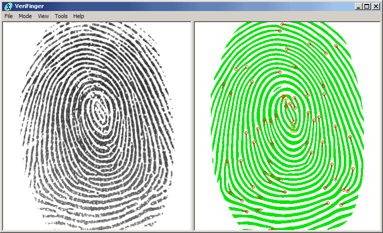 Analysis of fingerprint scan