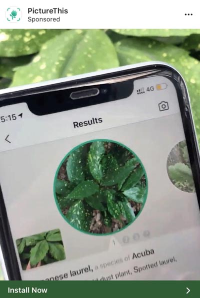 Mobile app for plant recognition PictureThis