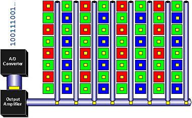 Array of Charge-Coupled Devices (CCDs)